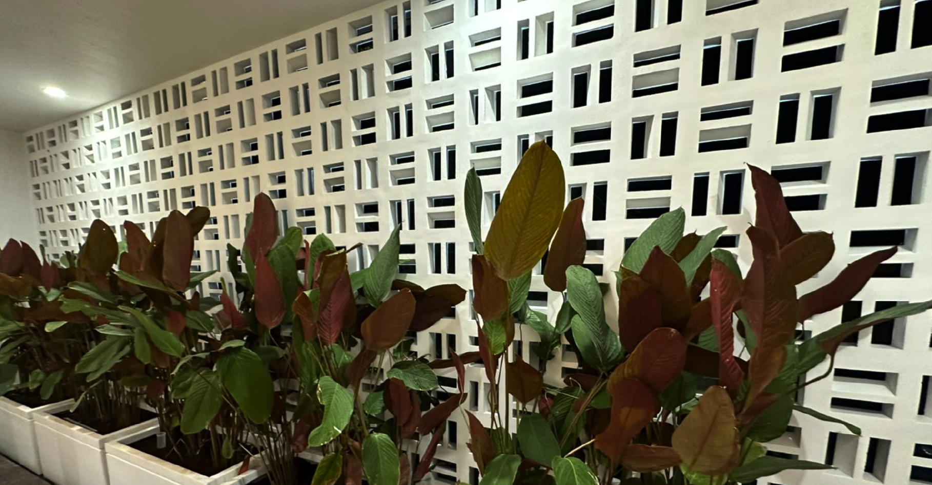 Read more about the article Landscaping with Aura Breeze Blocks: Privacy, Planters & Outdoor Walls